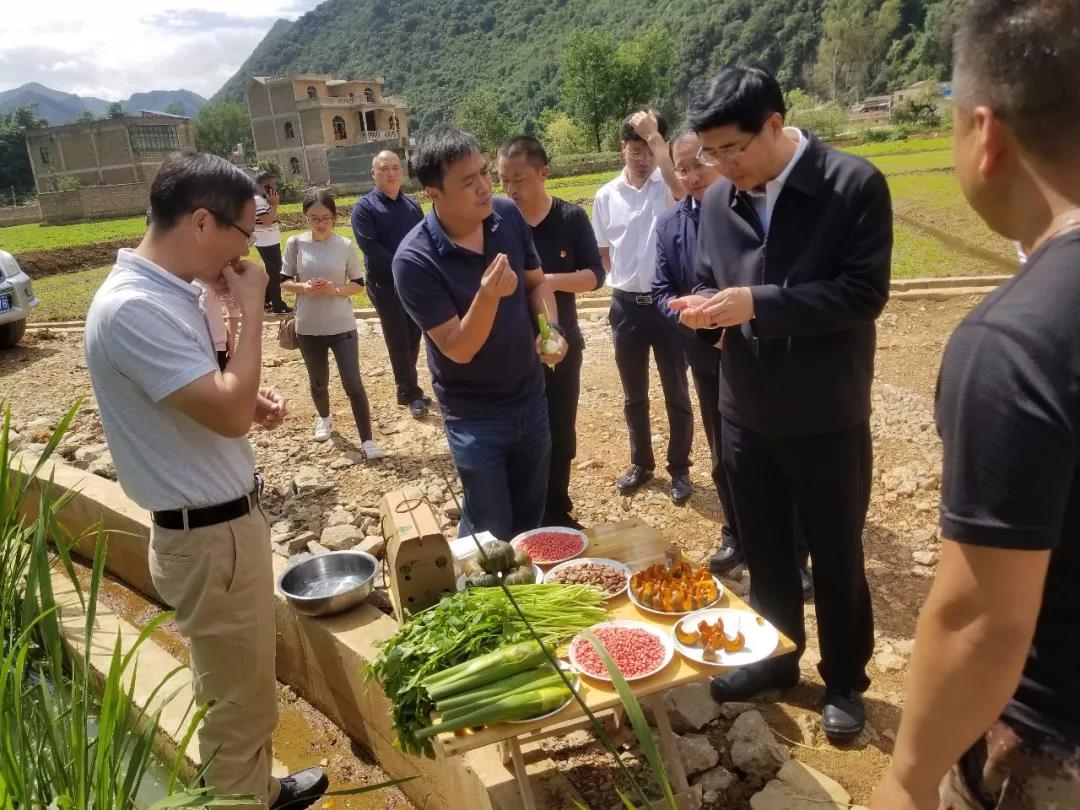 首页| 尊时凯龙中国集团官方网站