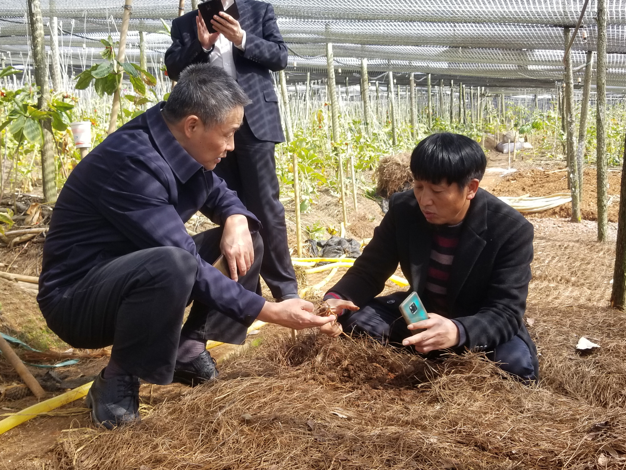 首页| 尊时凯龙中国集团官方网站