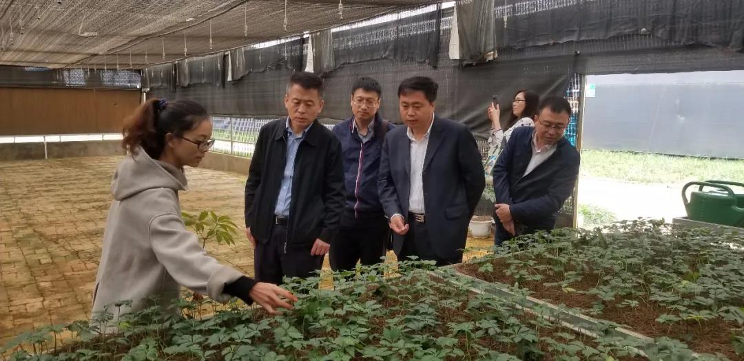 首页| 尊时凯龙中国集团官方网站