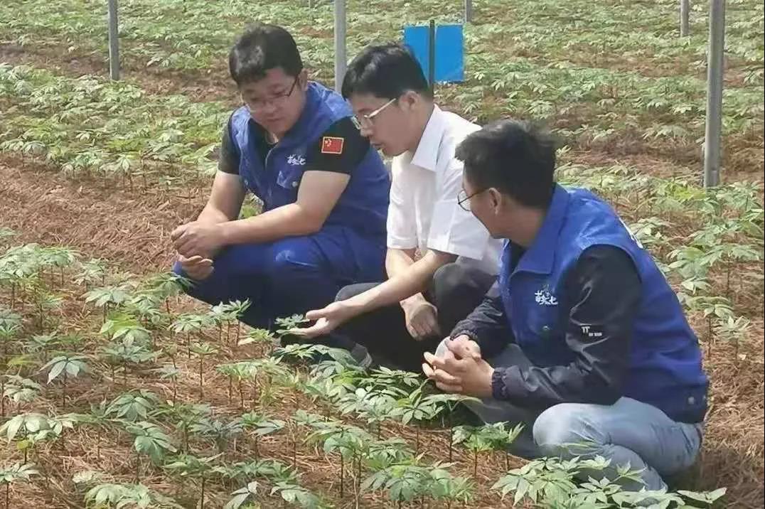 首页| 尊时凯龙中国集团官方网站