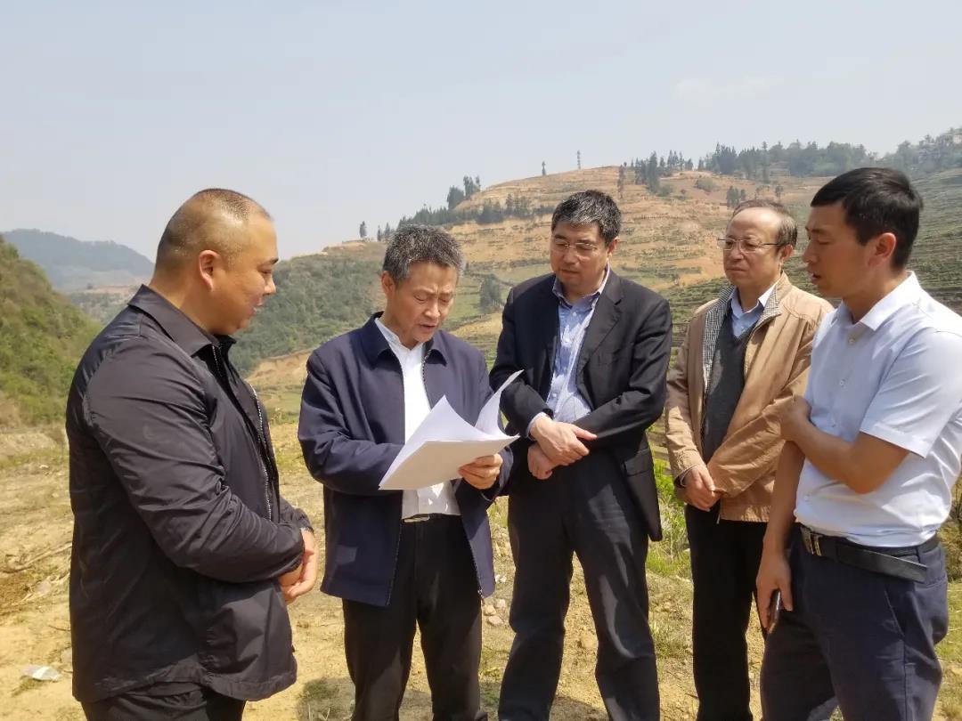 首页| 尊时凯龙中国集团官方网站